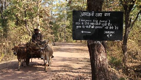 Letters to Customers – Aranyaani Food Forest