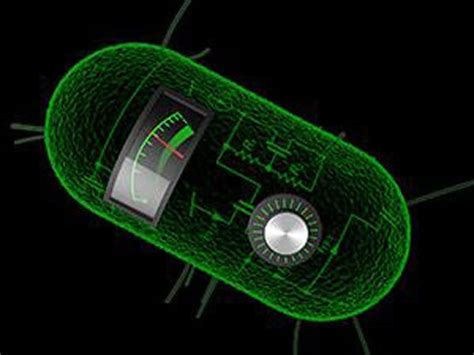 MIT Computer Science Lectures 的图像结果