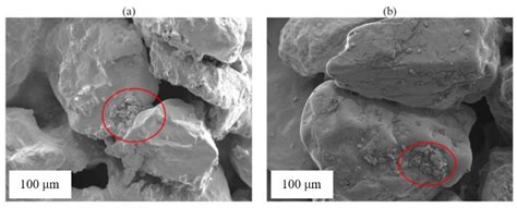 State-of-the-Art Review of Enzyme-Induced Calcite Precipitation (EICP ...