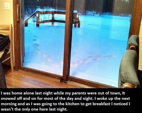 Image result for Terrifying Real Pictures