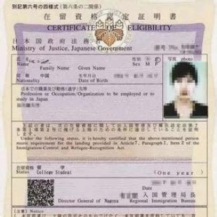 国外留学出国签证visa高清图片下载-正版图片501424338-摄图网