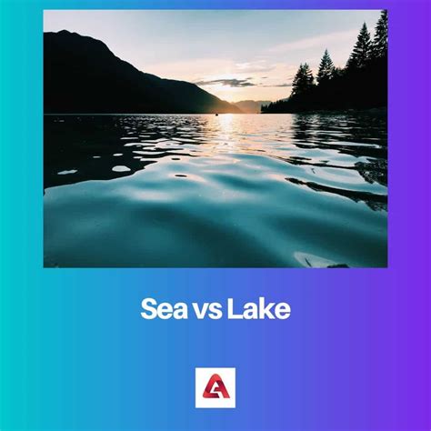 Sea vs Lake: Difference and Comparison