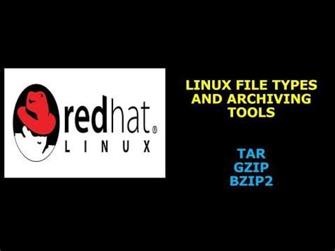 Image result for Linux File Types