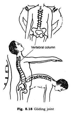 Image result for Science Chapter 8 Body Movements