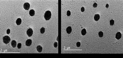 Development and characterization of RGD embellished drug-conjugate ...
