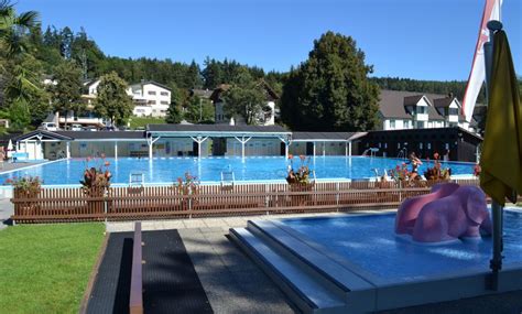 Felsenau - outdoor pool | Urlaub am Bodensee, Vorarlberg