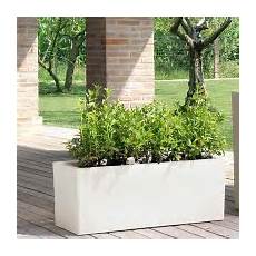 vasi per piante da esterno prezzi vasi da giardino ed interno vendita bestprato vasi per piante da esterno prezzi vasi da giardino ed interno vendita bestprato