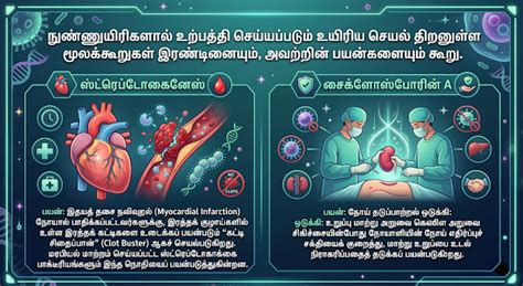 12-ஆம் வகுப்பு விலங்கியல் | பாடம் 9 மனித நலனில் நுண்ணுயிரிகள் ...