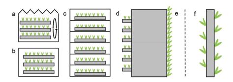 Vertical Farming Process 的图像结果