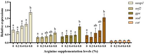A Study on the Function of Arginine in the Growth, Immunity ...