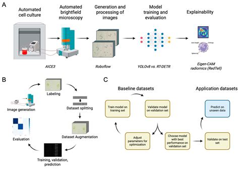 AI-Driven Analysis for Real-Time Detection of Unstained Microscopic ...