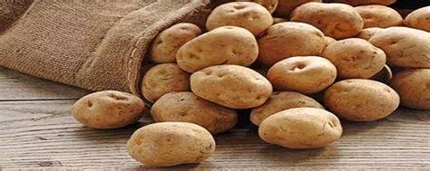 种土豆最忌讳什么肥料，土豆种植的时候可不可以与肥料接触|admin_人人点