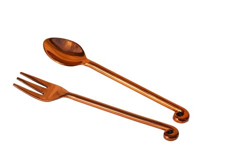 Geega Turtles Copper Coated Stainless Steel Teaspoon & Fork 12-Piece ...