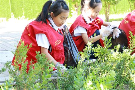 学校实现垃圾分类设施全覆盖