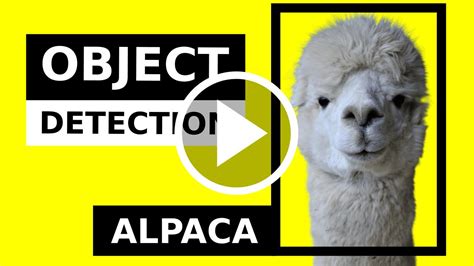 Object Detection Tutorial 的图像结果