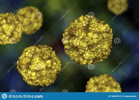 Enteroviruses, a Group of RNA-viruses Including Echoviruses ...