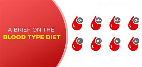Is the Blood Type Diet Any Good? | FITPASS