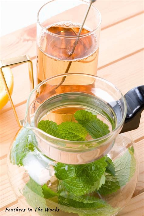 How to use Lemon Balm (3 recipes!) - Feathers in the woods