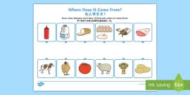 Food Pyramid: All About PowerPoint - English/Mandarin Chinese