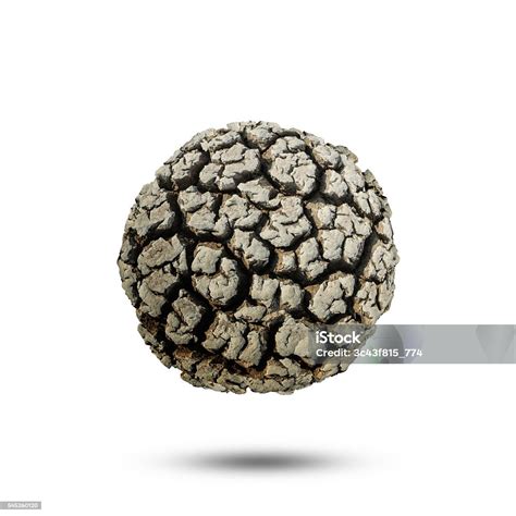 Dead Planet Earth Without Water The Global Ecological Catastro Stock ...