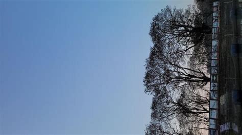 Hutar farms - Restaurant menu, prices and reviews