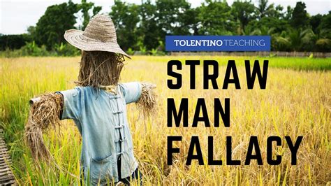 Image result for Straw Man Logical Fallacy Examples