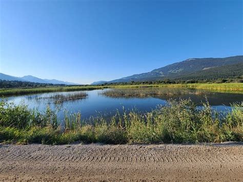 THE BEST Places to Visit in Brisco (2026) - Must-See Attractions