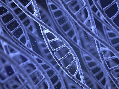 Human Dna Under Microscope