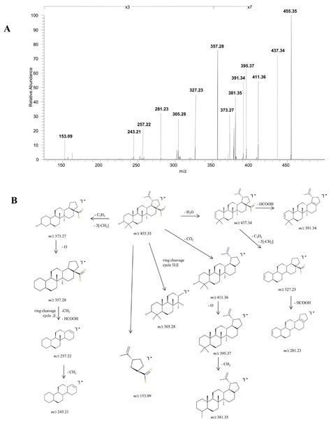 Structural Investigation of Betulinic Acid Plasma Metabolites by Tandem ...