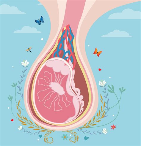 8 Ball-Busting Testicle Myths Men Wish Women Would Stop Believing | by ...