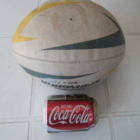 Image result for Springbok Rugby Ball