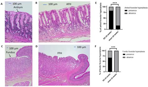 JCM | Topical Collection : Obesity: From Diagnosis to Treatment