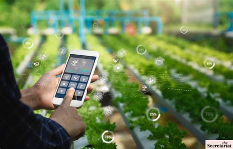 Grassroots Innovations Flourish In Gujarat’s Startup Ecosystem