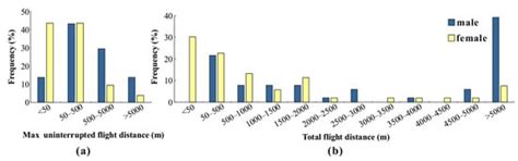 Evaluation of the Potential Flight Ability of the Casuarina Moth ...