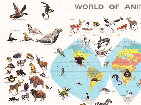 World Map of Animals 的图像结果