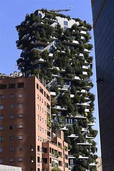 Concrete Tower In The Forest by Forest Tower Blocks In Milan Combat Global Warming Daily Concrete Tower In The Forest