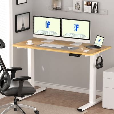 FLEXISPOT 55 x 28 Home Office Electric Height India | Ubuy