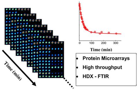 IJMS | Special Issue : Protein Structure Research 2024