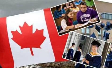 加拿大留学金融专业就业成功案例分享
