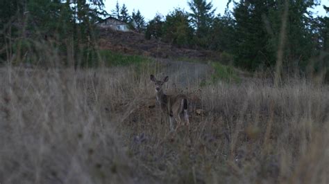 Cooper Creek Reservoir | Things To Do In Sutherlin, OR | The Beckham Group