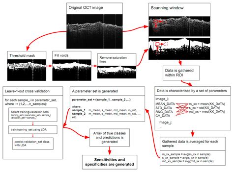 Multimodal Approach of Optical Coherence Tomography and Raman ...