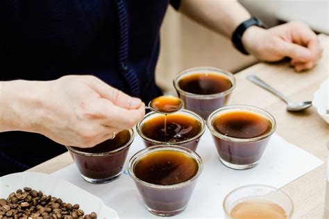 Coffee Cupping Machine 的图像结果