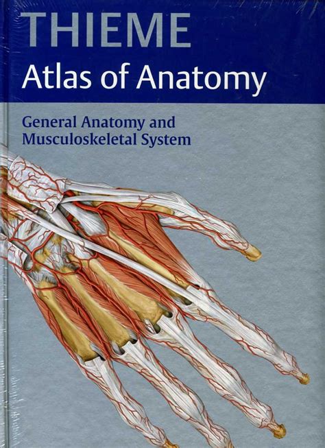 Buy General Anatomy And Musculoskeletal System (Atlas of Anatomy) Book ...