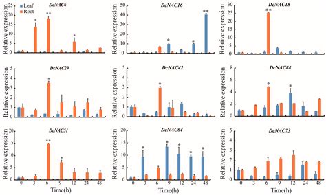 Comprehensive Genomic Characterization of the NAC Transcription Factors ...
