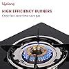 Lifelong 2 Burner Gas Stove Top for Kitchen - Manual Ignition Cooktop ...