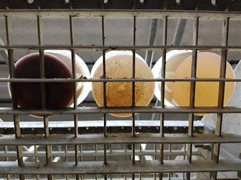 Mobile Dewatering System 的图像结果