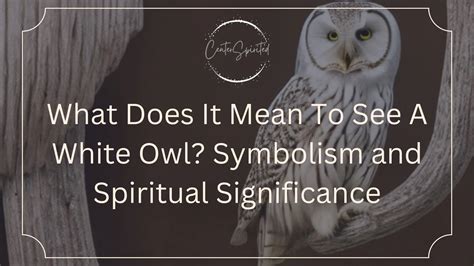 What Is An Owl Symbolic Of at Ike Fordyce blog