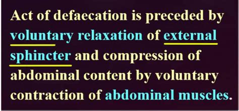 Image result for Obstructive Defaecation