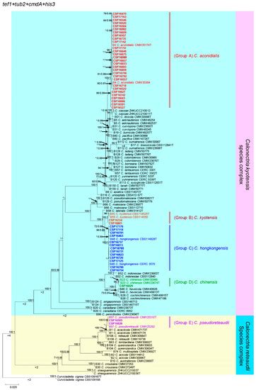 Wide Distribution and Intraspecies Diversity in the Pathogenicity of ...