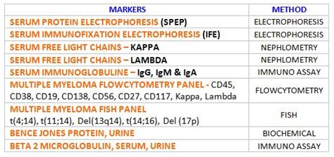 MULTIPLE MYELOMA DIAGNOSIS | Blog | BIOGNOSYS TECHNOLOGIES (INDIA ...